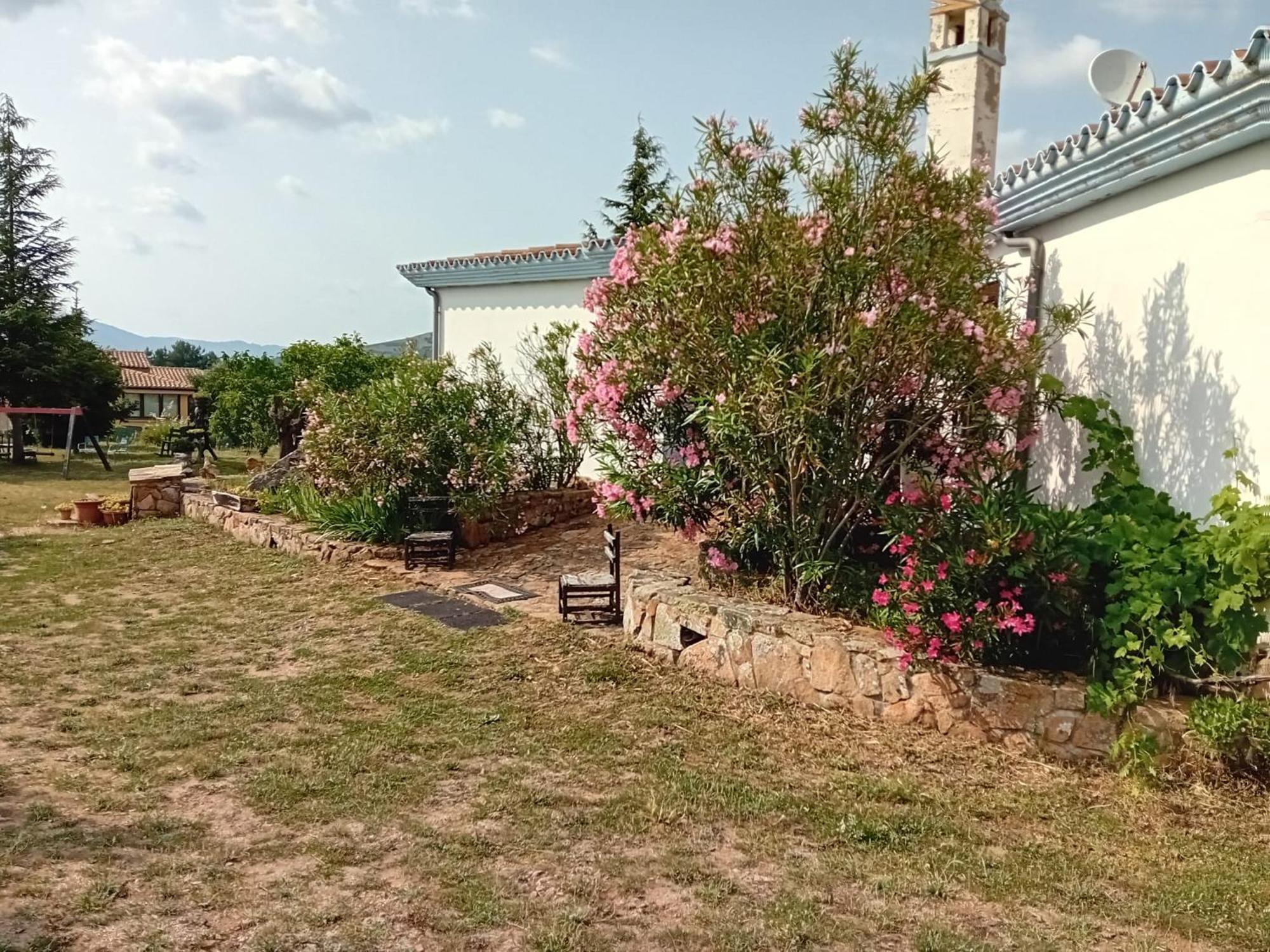 Bed and Breakfast Lugori Seulo Экстерьер фото
