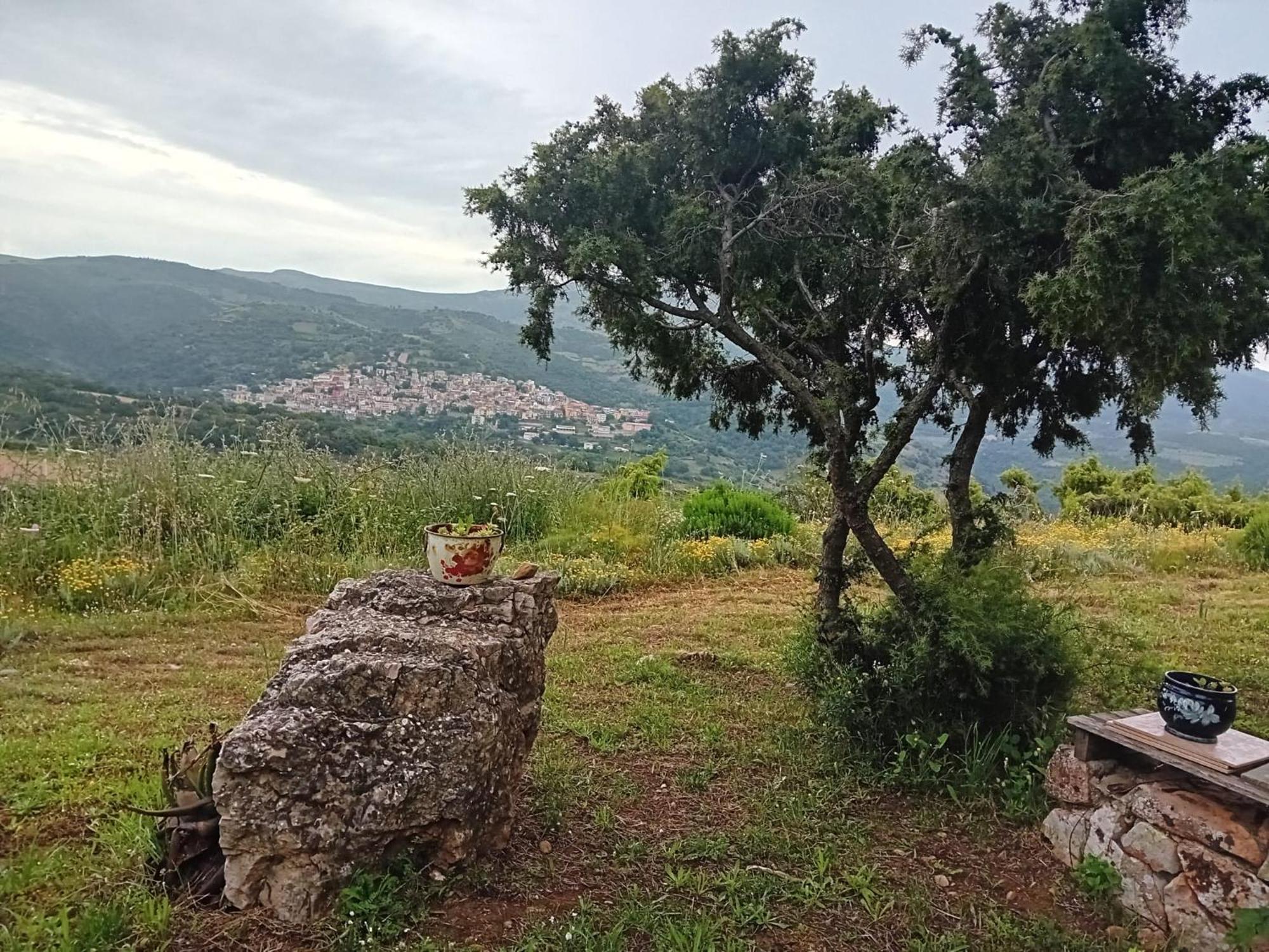 Bed and Breakfast Lugori Seulo Экстерьер фото