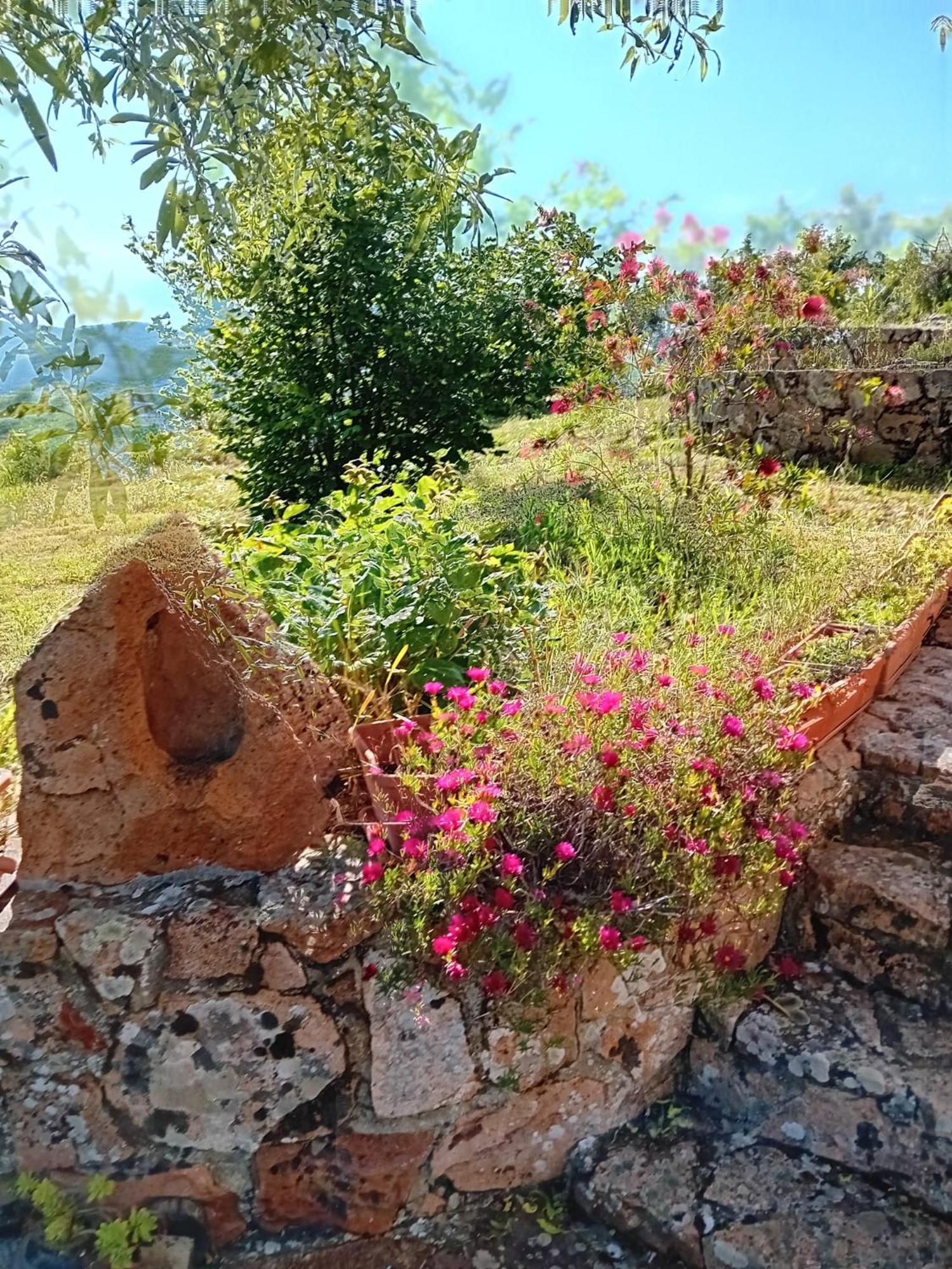 Bed and Breakfast Lugori Seulo Экстерьер фото